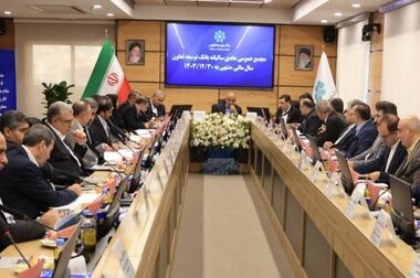 ۷۸ درصد تسهیلات بانک توسعه تعاون خراسان جنوبی به بخش تعاون اختصاص یافت