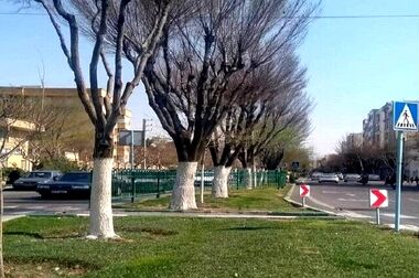 بهبود ترافیک و ایمنی میدان توحید با اجرای اصلاح هندسی