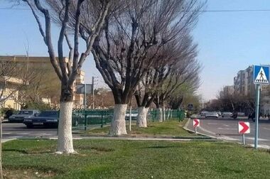 احداث و ساماندهی سرویس بهداشتی بوستان‌های منطقه ۲