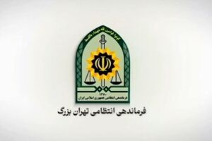 دستگیری فردی مرتبط با شبکه‌های معاند و کشف سلاح در پایتخت
