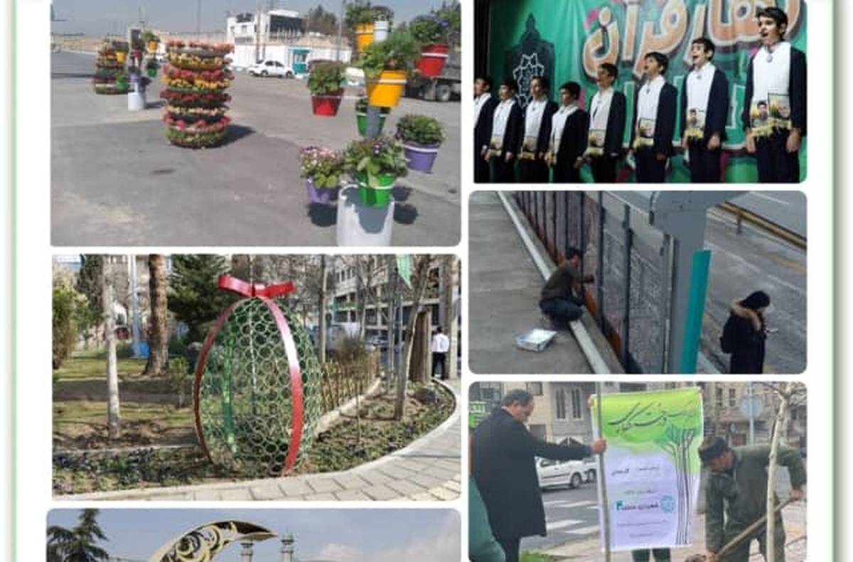 عطر و بوی بهاری در کوچه پس کوچه های منطقه ۴ به مشام می رسد