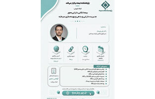 بیمه اتکایی دارایی محور، مدیریت دارایی و بهینه سازی سرمایه