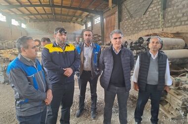 ایمپاسکو، الگوی بهره‌وری