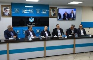 فقرزدایی راهبرد جدید بانک توسعه تعاون در دولت چهاردهم