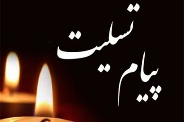 پرداخت خسارت بیمه دی به خودروهای آسیب دیده در بندر شهید رجائی