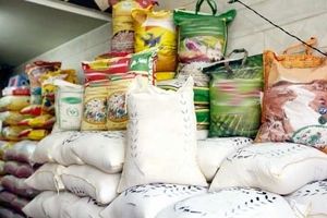 به اندازه کافی برنج در کشور موجود است/ وقفه ای در عرضه نداریم