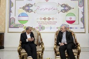 صدور کارنه دو پاساژ در دستور کار همکاری‌های گردشگری ایران و ازبکستان قرار گرفت