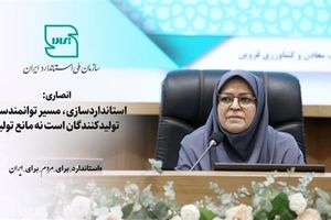 انصاری: استانداردسازی، مسیر توانمندسازی تولیدکنندگان است نه مانع تولید