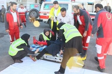 حفاظت از درختان منطقه ۲ با اجرای طرح باندینگ 