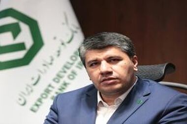 آمادگی بانک توسعه صادرات ایران برای ارائه تسهیلات سرمایه در گردش به فعالان عرصه تجارت بین الملل