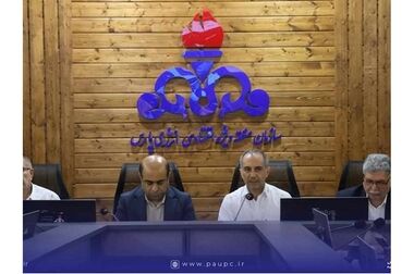 خبر مثبت عملیاتی برای «شپدیس»؛ بازگشت فاز یک به مدار تولید