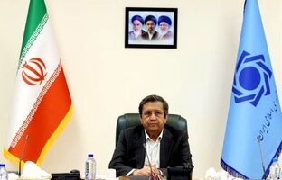 شبکه بانکی برای پیش‌برد سیاست‌ها تلاش کند