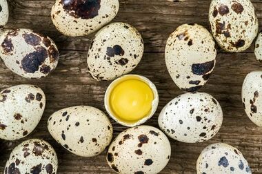اختلاف قیمت 40  درصدی میوه در میادین و بازارهای میوه و تره‌بار به نسبت سطح شهر 