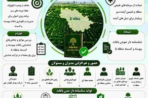 گام نهایی برای شناسنامه‌دار شدن باغات پیوسته و گسسته منطقه۵؛ هم‌افزایی مدیران برای رفع موانع شناسایی