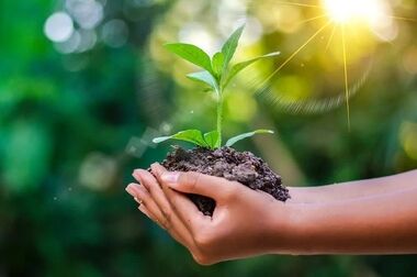 مصاحبه دکتر امرائی، مدیرعامل فولاد سنگان در حاشیه نمایشگاه بین المللی فولاد کیش 2024