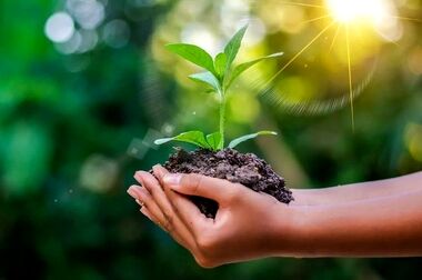 مصاحبه دکتر امرائی، مدیرعامل فولاد سنگان در حاشیه نمایشگاه بین المللی فولاد کیش 2024