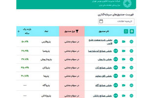پترو فارس، پیشتاز بازدهی سالانه در بین صندوق‌های پتروشیمی